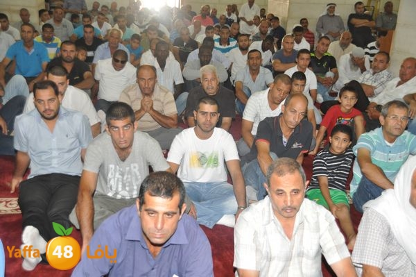 bazsalah lud 712 (68).JPG